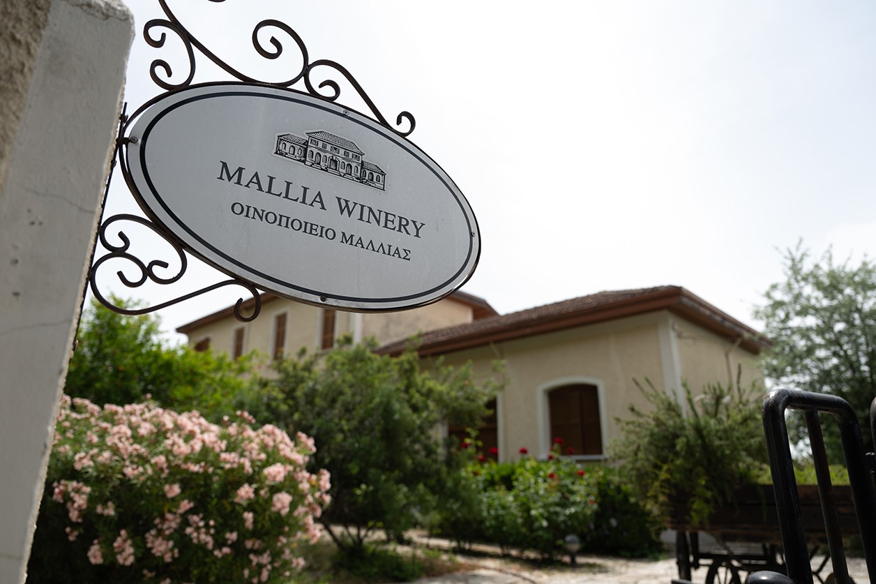 Mallia Winery KEO Estate in Limassol, Cyprus